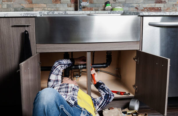 Best Plumbing Inspection Services  in Catlin, IL
